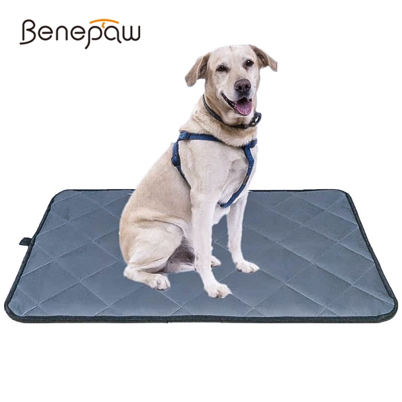 Dogs Washable Crate Pad