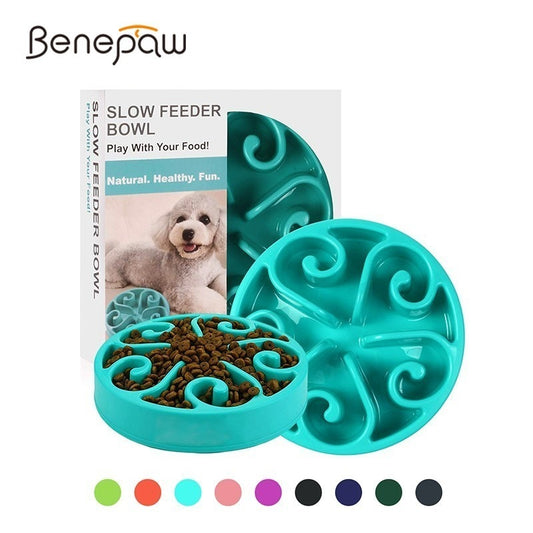 Nontoxic Fun Slow Feeder Dog Bowl