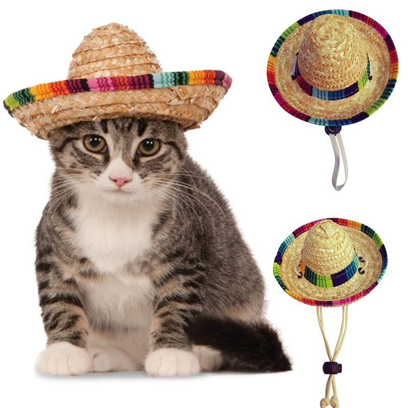 Fashion Pet Woven Straw Hat