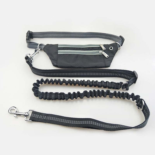 Elastic Hands-Free Dog Leash & Caring Pouch