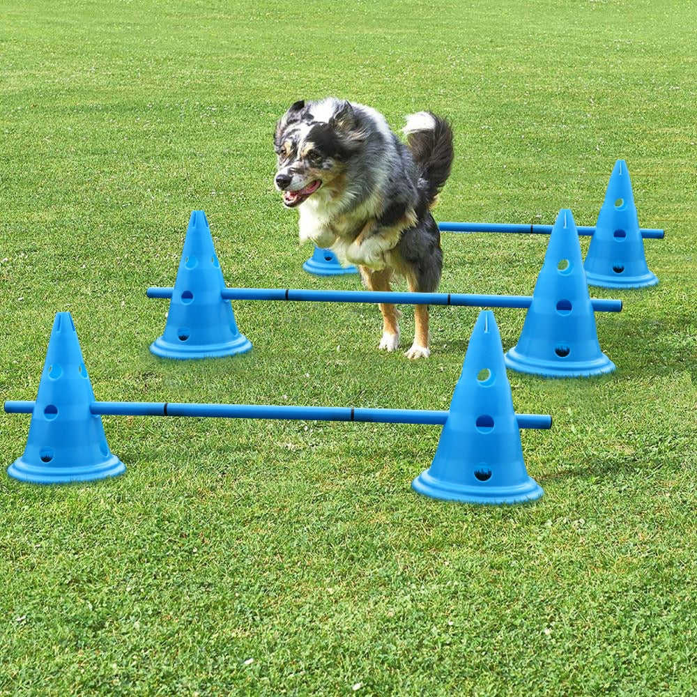 3set Dog Training Durable Running Stakes for Dogs: Pet Agility Equipment