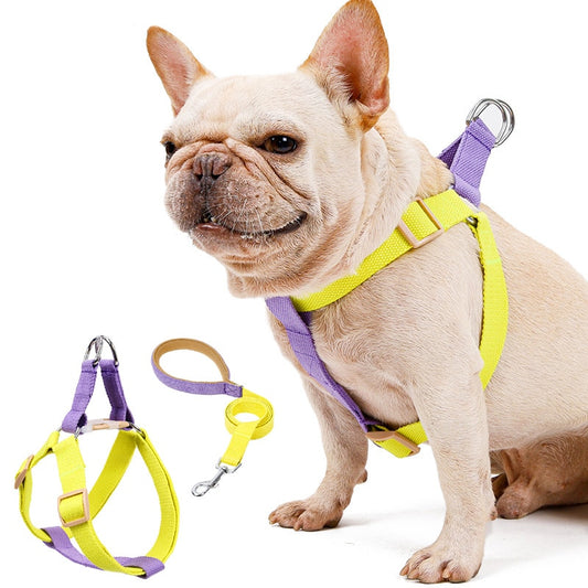 Dog Harness And Leash Nylon Leashs