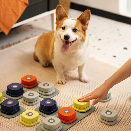 Interactive Communication Tool for Dogs