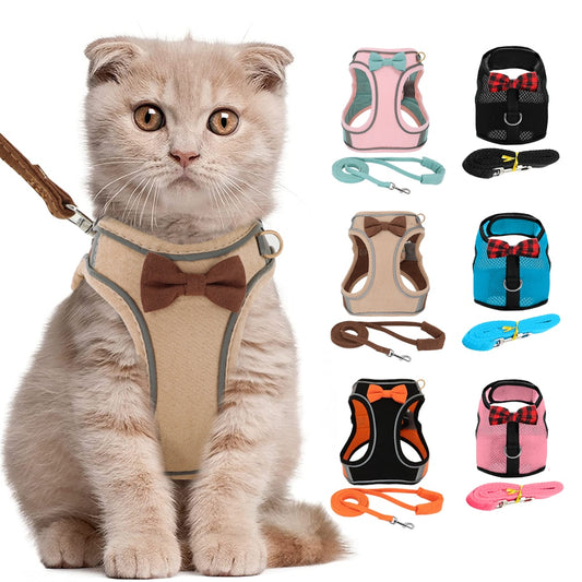 Pet Harness & Leash Set; For Small Dogs & Cats