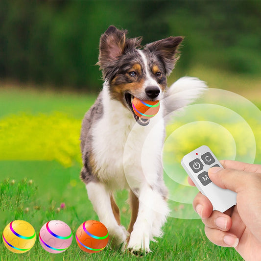 Smart Electric Dog & Cat Ball Automatic Rolling Ball USB Charging with LED Light