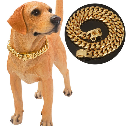 Gold/Stainless Steel Dog Collar