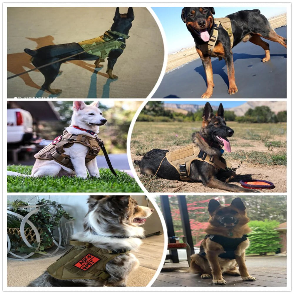 Metal Buckle Tactical Dog Harness MOLLE Pet Train Vest German Shepherd Leash Hound Golden Retriever Labrador Saint Bernard Husky